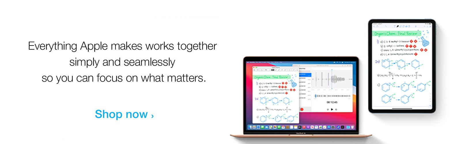 Everything Apple Makes Works together