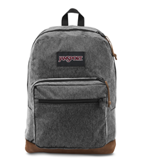 georgie hobo coach bag