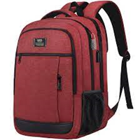 QINOL LAPTOP BACKPACK ANTI-THEFT w/USB PORT