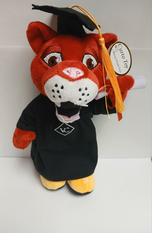 Graduation Purrcy Plushies