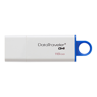 KINGSTON DATATRAVELER G4 USB FLASH DRIVE