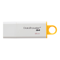 KINGSTON DATATRAVELER G4 USB FLASH DRIVE