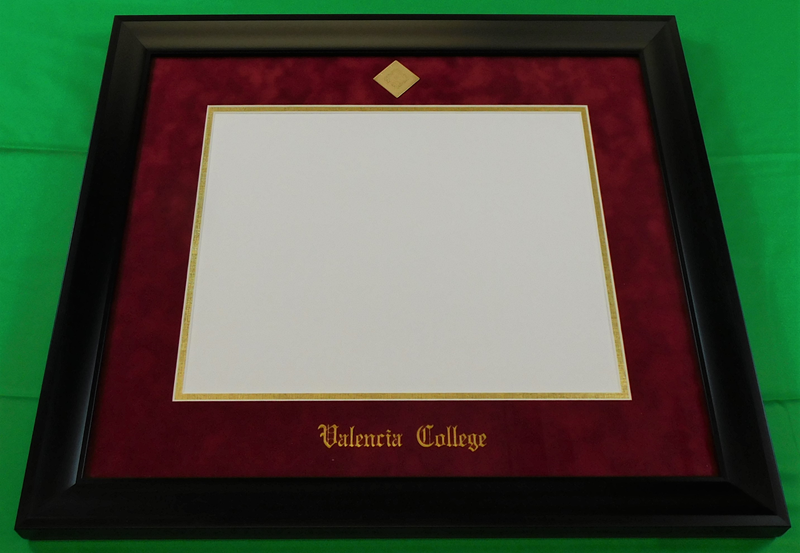 Valencia College Diploma Frame Bachelor's Treehugger Valencia College