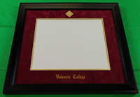 Valencia College Diploma Frame Bachelor's Treehugger
