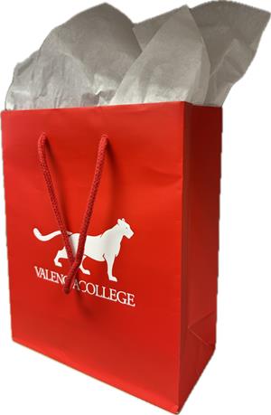 Valencia College Gift Bag